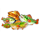 MONEY SYMBOL เกม BIG BASS FLOATS MY BOAT ค่าย PRAGMATIC PLAY