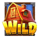 WILD SYMBOL เกม BARNYARD MEGAHAYS MEGAWAYS ค่าย PRAGMATIC PLAY