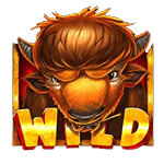 WILD SYMBOL เกม RELEASE THE BISON ค่าย PRAGMATIC PLAY