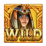 Wild เกม GOLDEN SCARAB ค่าย SPINIX