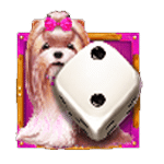 สัญลักษณ์พิเศษ สุนัขกับลูกเต๋า 2 แต้ม เกม THE DOG HOUSE DICE SHOW ค่าย PRAGMATIC PLAY