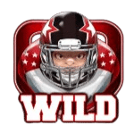 WILD เกม TOUCHDOWN ค่าย SPINIX
