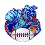 นักกีฬาฮอกบี้ เกม TOUCHDOWN ค่าย SPINIX