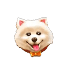 น้องหมา เกม CATDOG ค่าย SPINIX