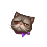 น้องแมว เกม CATDOG ค่าย SPINIX