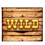 WILD เกม LITTLE BIGHORN ค่าย NOLIMIT CITY