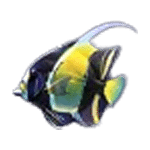 ปลา เกม SHARK HUNTER ค่าย PG SLOT
