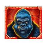 สัญลักษณ์พิเศษ คิงคอง เกม JUNGLE FORTUNE ค่าย BLUEPRINT GAMING