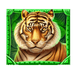 สัญลักษณ์พิเศษ เสือ เกม JUNGLE FORTUNE ค่าย BLUEPRINT GAMING