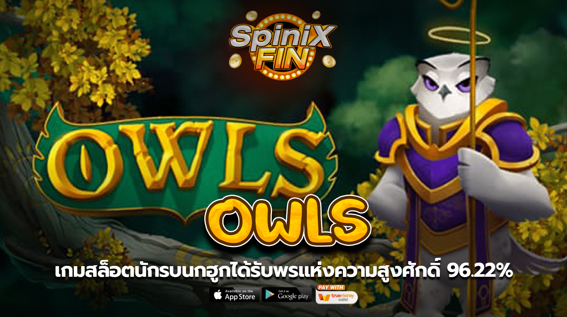 OWLS นักรบนกฮูกได้รับพรแห่งความสูงศักดิ์ 96.22%