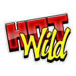 WILD เกม HOT NUDGE ค่าย NOLIMIT CITY