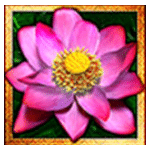สัญลักษณ์พิเศษ กระจาย เกม THAI FLOWER ค่าย BLUEPRINT GAMING