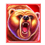 สัญลักษณ์พิเศษ หมี เกม INTO THE WILD MEGAWAYS ค่าย BLUEPRINT GAMING