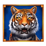สัญลักษณ์พิเศษ เสือ เกม WAY OF THE TIGER ค่าย BLUEPRINT GAMING