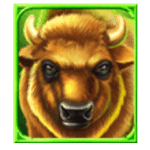 สัญลักษณ์พิเศษ ไบซัน เกม INTO THE WILD MEGAWAYS ค่าย BLUEPRINT GAMING