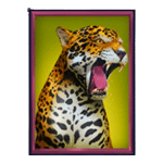 เสือ เกม GOLDEN GENIE ค่าย NOLIMIT CITY