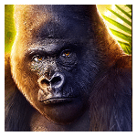WILD SYMBOL เกม KONGS TEMPLE ค่าย BLUEPRINT GAMING
