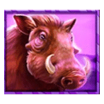สัญลักษณ์พิเศษ หมูป่า เกม RHINO RAMPAGE ค่าย BLUEPRINT GAMING