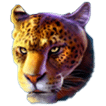 สัญลักษณ์พิเศษ เสือดาว เกม LION THUNDER ค่าย BLUEPRINT GAMING