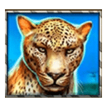สัญลักษณ์พิเศษ เสือดาว เกม RHINO RAMPAGE ค่าย BLUEPRINT GAMING