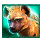 สัญลักษณ์พิเศษ ไฮยีน่า เกม RHINO RAMPAGE ค่าย BLUEPRINT GAMING