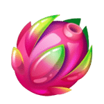 แก้วมังกร เกม FRUITS ค่าย NOLIMIT CITY