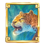 แมวป่า เกม MAYAN MAGIC WILDFIRE ค่าย NOLIMIT CITY