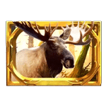สัญลักษณ์พิเศษ กวาง เกม GRIZZLY GOLD ค่าย BLUEPRINT GAMING