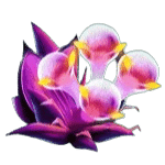 ธัญพืชสีม่วง เกม FRUITOIDS ค่าย YGGDRASIL SLOT