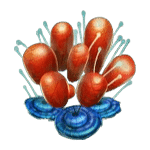 ปะการัง เกม FRUITOIDS ค่าย YGGDRASIL SLOT
