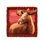 สัญลักษณ์พิเศษ กวางมูส เกม BUFFALO KING UNTAMED MEGAWAYS ค่าย PRAGMATIC PLAY