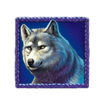 สัญลักษณ์พิเศษ หมาป่า เกม BUFFALO KING UNTAMED MEGAWAYS ค่าย PRAGMATIC PLAY