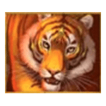 สัญลักษณ์พิเศษ เสือ เกม BIG CAT KING MEGAWAYS ค่าย BLUEPRINT GAMING