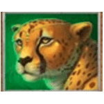 สัญลักษณ์พิเศษ เสือดาว เกม BIG CAT KING MEGAWAYS ค่าย BLUEPRINT GAMING