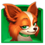 สัญลักษณ์พิเศษ สุนัขชิวาว่า เกม LUCKY DOGGY ค่าย JILI SLOT