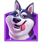 สัญลักษณ์พิเศษ สุนัขไซบีเรียน เกม LUCKY DOGGY ค่าย JILI SLOT