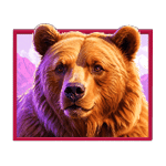 สัญลักษณ์พิเศษ หมี เกม HIMALAYAN WILD ค่าย PRAGMATIC PLAY