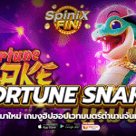 FORTUNE SNAKE งูฮิปฮอปเวทมนตร์ตำนานจันทรคติฟรี 200