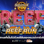 REEF RUN โลกใต้ทะเลในเขตร้อนมากถึง 20K