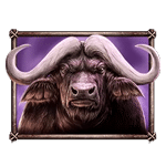 ควาย เกม SAVANNA ROAR ค่าย YGGDRASIL SLOT