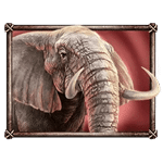 ช้าง เกม SAVANNA ROAR ค่าย YGGDRASIL SLOT