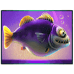สัญลักษณ์พิเศษ ปลาสีม่วง เกม SEA BOAT ADVENTURE ค่าย RED TIGER