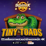เกม TINY TOADS ค่าย PRAGMATIC PLAY