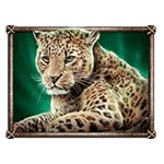 เสือดาว เกม SAVANNA ROAR ค่าย YGGDRASIL SLOT