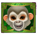 สัญลักษณ์พิเศษ ลิง เกม AMAZON ISLAND MEGAWAYSค่าย RED TIGER
