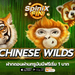 เกม CHINESE WILDS ค่าย RED TIGER