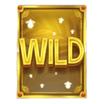 WILD เกม MULTIFLY ค่าย YGGDRASIL SLOT