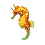 ม้าน้ำ เกม DOLPHIN HOT 1 ค่าย YGGDRASIL SLOT