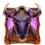 สัญลักษณ์พิเศษ กระทิง เกม WILD WILDEBEEST WINS ค่าย PRAGMATIC PLAY