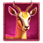 สัญลักษณ์พิเศษ กวาง เกม WILD WILDEBEEST WINS ค่าย PRAGMATIC PLAY